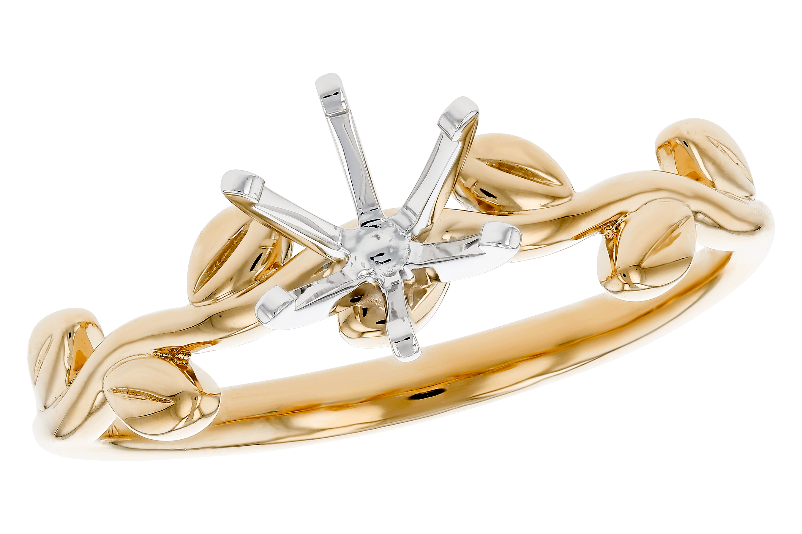 C274-69380: LDS SEMI RG