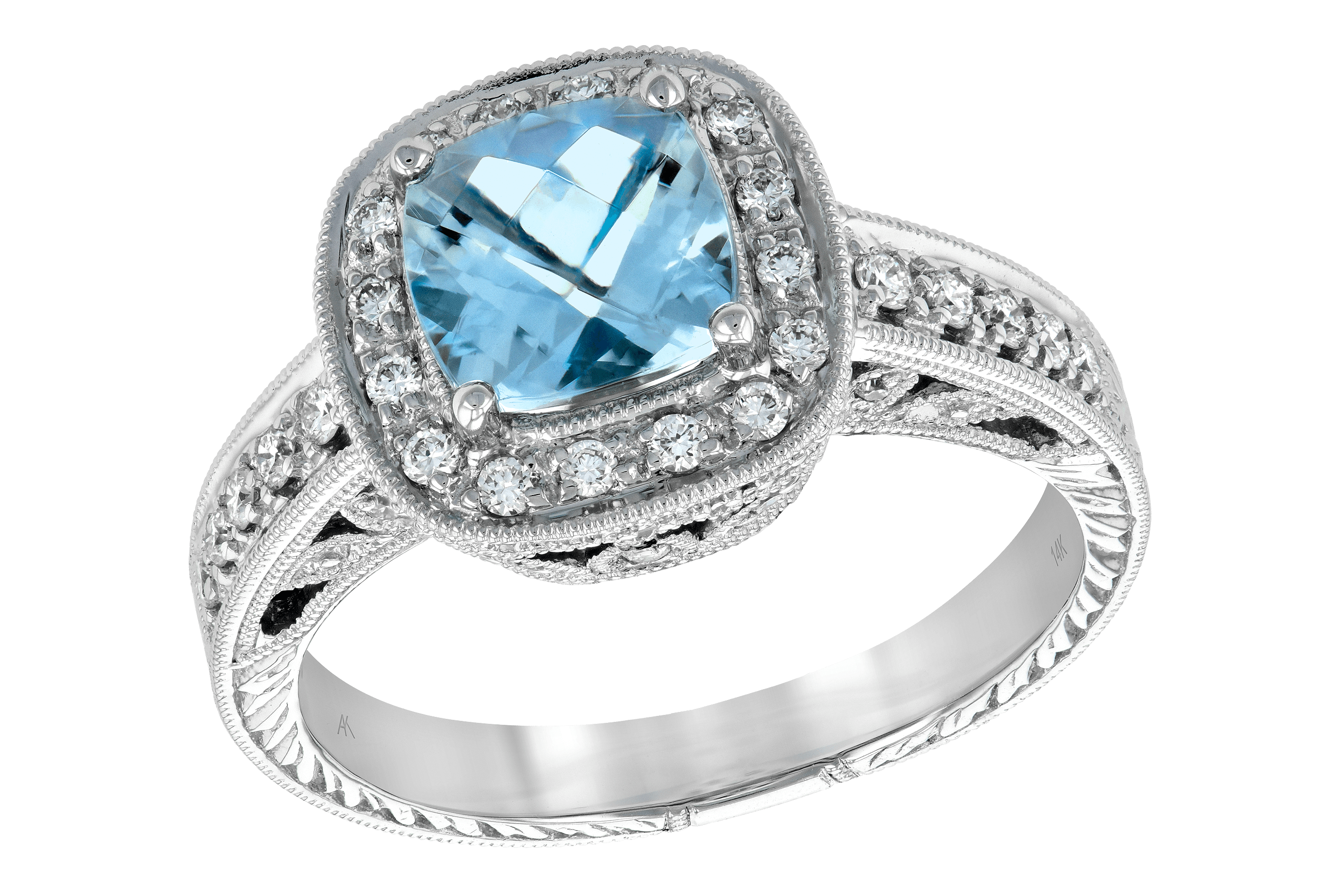 D095-61271: LDS RG 1.20 AQUA 1.53 TGW